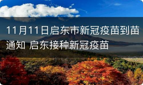 11月11日启东市新冠疫苗到苗通知 启东接种新冠疫苗