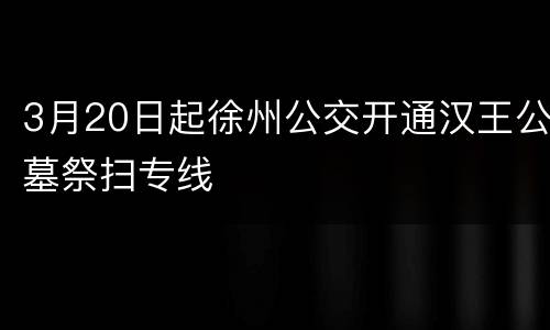 3月20日起徐州公交开通汉王公墓祭扫专线