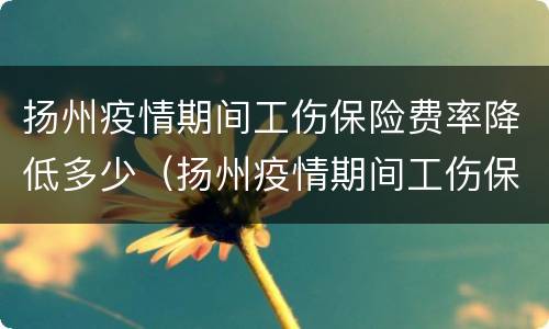 扬州疫情期间工伤保险费率降低多少（扬州疫情期间工伤保险费率降低多少钱）