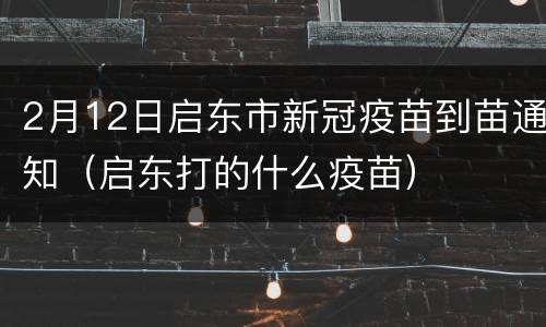 2月12日启东市新冠疫苗到苗通知（启东打的什么疫苗）