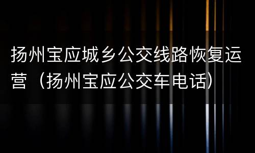 扬州宝应城乡公交线路恢复运营（扬州宝应公交车电话）