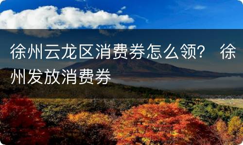 徐州云龙区消费券怎么领？ 徐州发放消费券