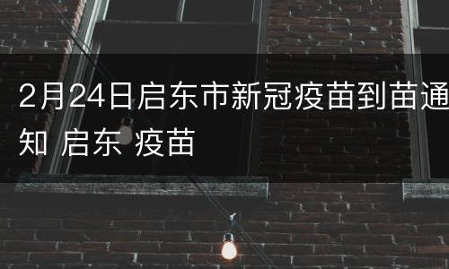 2月24日启东市新冠疫苗到苗通知 启东 疫苗