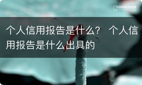 个人信用报告是什么？ 个人信用报告是什么出具的