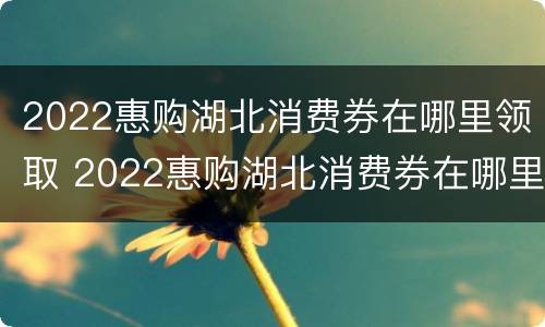 2022惠购湖北消费券在哪里领取 2022惠购湖北消费券在哪里领取啊