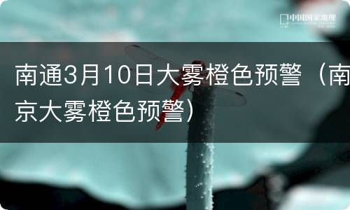 南通3月10日大雾橙色预警（南京大雾橙色预警）