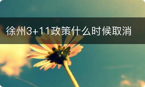 徐州3+11政策什么时候取消