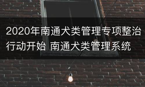 2020年南通犬类管理专项整治行动开始 南通犬类管理系统