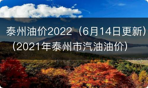 泰州油价2022（6月14日更新）（2021年泰州市汽油油价）