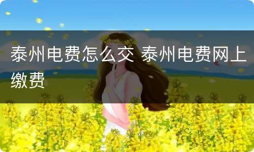 泰州电费怎么交 泰州电费网上缴费