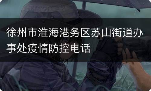 徐州市淮海港务区苏山街道办事处疫情防控电话