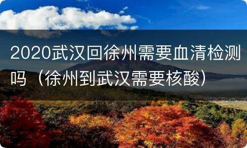 2020武汉回徐州需要血清检测吗（徐州到武汉需要核酸）