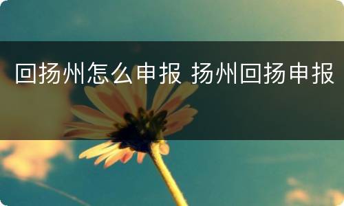 回扬州怎么申报 扬州回扬申报