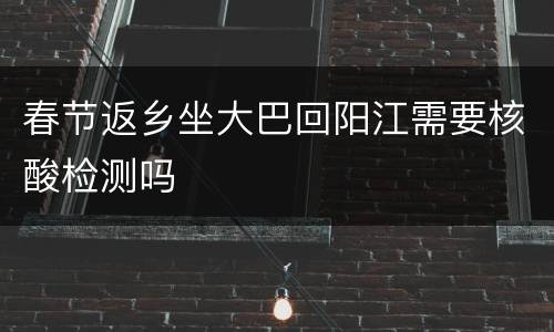 春节返乡坐大巴回阳江需要核酸检测吗