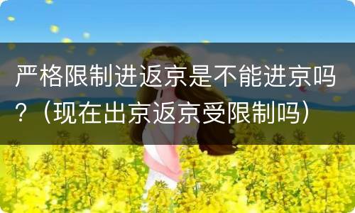 严格限制进返京是不能进京吗?（现在出京返京受限制吗）
