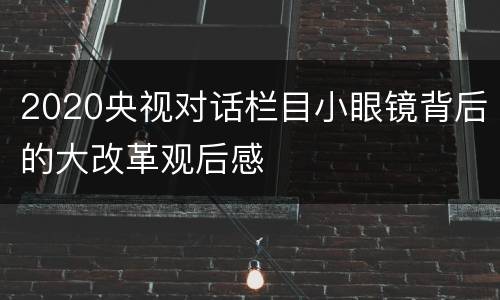 2020央视对话栏目小眼镜背后的大改革观后感