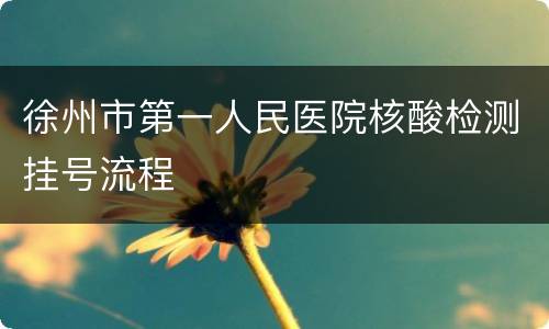 徐州市第一人民医院核酸检测挂号流程