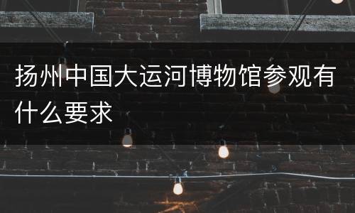 扬州中国大运河博物馆参观有什么要求