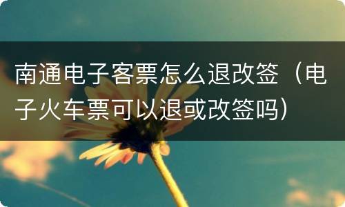 南通电子客票怎么退改签（电子火车票可以退或改签吗）