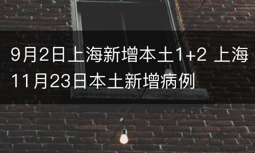 9月2日上海新增本土1+2 上海11月23日本土新增病例