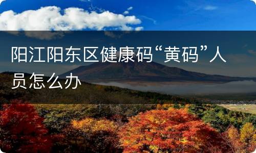 阳江阳东区健康码“黄码”人员怎么办