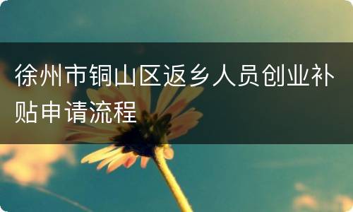 徐州市铜山区返乡人员创业补贴申请流程