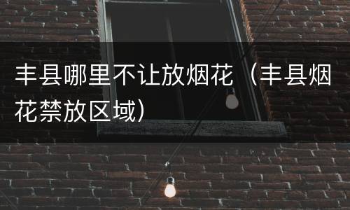 丰县哪里不让放烟花（丰县烟花禁放区域）