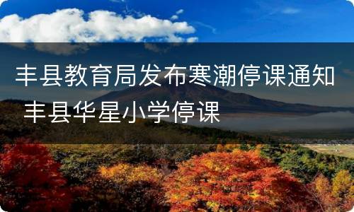 丰县教育局发布寒潮停课通知 丰县华星小学停课