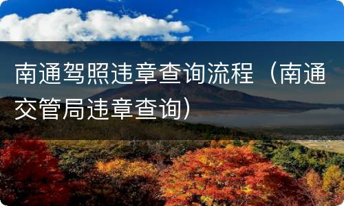 南通驾照违章查询流程（南通交管局违章查询）