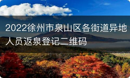 2022徐州市泉山区各街道异地人员返泉登记二维码