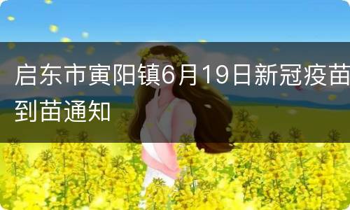 启东市寅阳镇6月19日新冠疫苗到苗通知