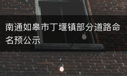 南通如皋市丁堰镇部分道路命名预公示