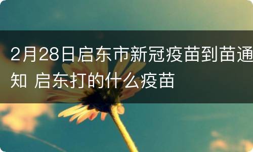 2月28日启东市新冠疫苗到苗通知 启东打的什么疫苗