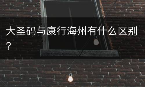 大圣码与康行海州有什么区别?
