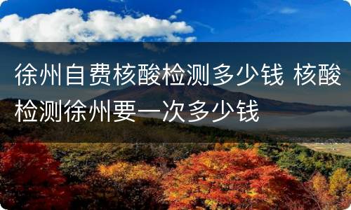 徐州自费核酸检测多少钱 核酸检测徐州要一次多少钱