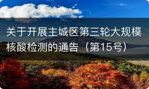 关于开展主城区第三轮大规模核酸检测的通告（第15号）