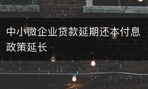 中小微企业贷款延期还本付息政策延长