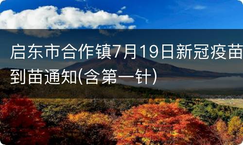 启东市合作镇7月19日新冠疫苗到苗通知(含第一针)