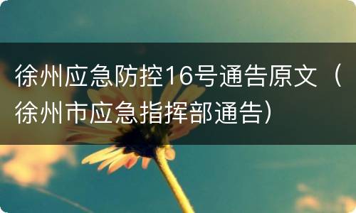 徐州应急防控16号通告原文（徐州市应急指挥部通告）