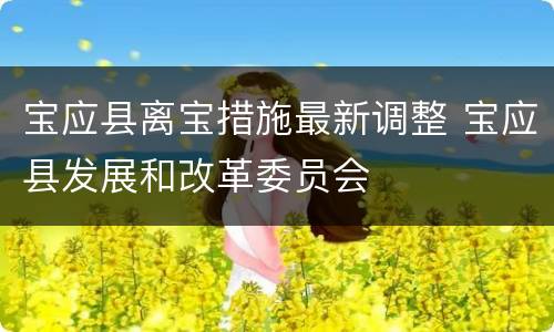 宝应县离宝措施最新调整 宝应县发展和改革委员会