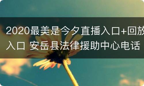 2020最美是今夕直播入口+回放入口 安岳县法律援助中心电话