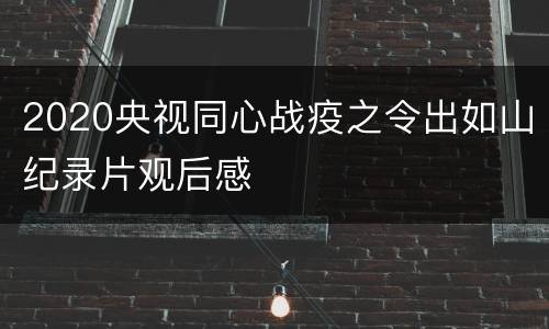 2020央视同心战疫之令出如山纪录片观后感