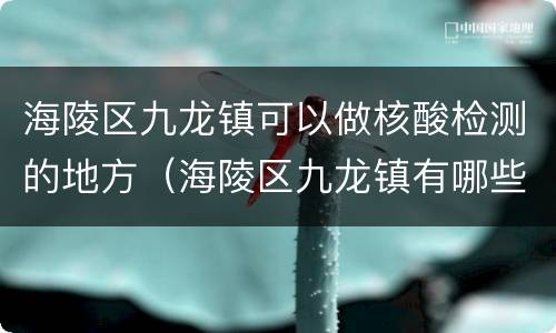 海陵区九龙镇可以做核酸检测的地方（海陵区九龙镇有哪些村）