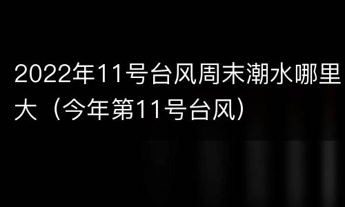 2022年11号台风周末潮水哪里大（今年第11号台风）