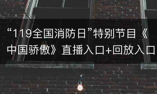 “119全国消防日”特别节目《中国骄傲》直播入口+回放入口