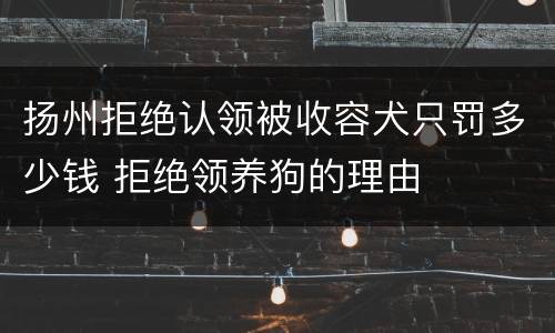 扬州拒绝认领被收容犬只罚多少钱 拒绝领养狗的理由