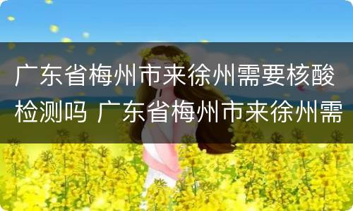 广东省梅州市来徐州需要核酸检测吗 广东省梅州市来徐州需要核酸检测吗最新