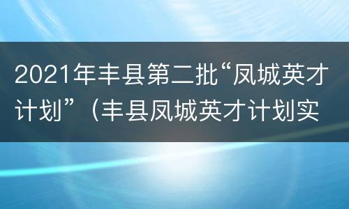 2021年丰县第二批“凤城英才计划”（丰县凤城英才计划实施办法）