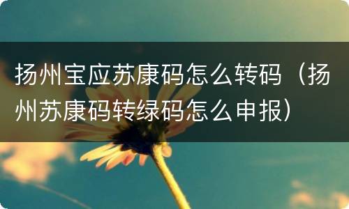 扬州宝应苏康码怎么转码（扬州苏康码转绿码怎么申报）