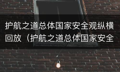 护航之道总体国家安全观纵横回放（护航之道总体国家安全观纵横回放视频）